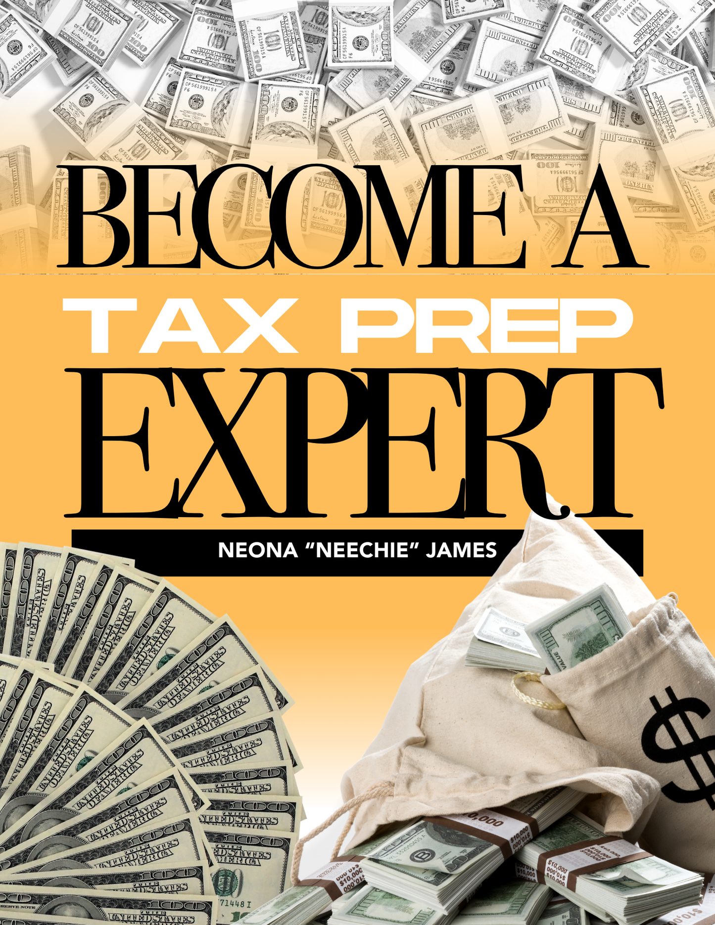 HOW TO BE A TAX PRO
