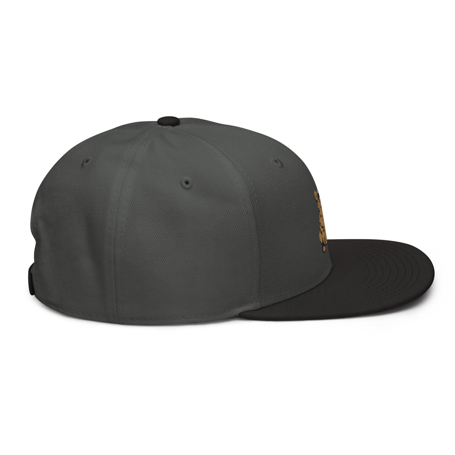 Teddy Snapback Hat