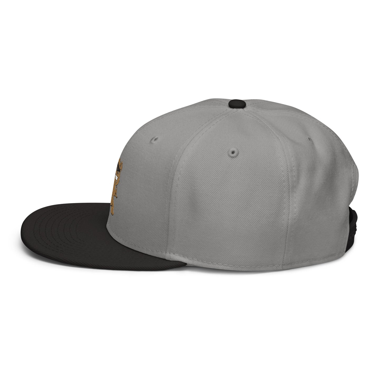 Teddy Snapback Hat