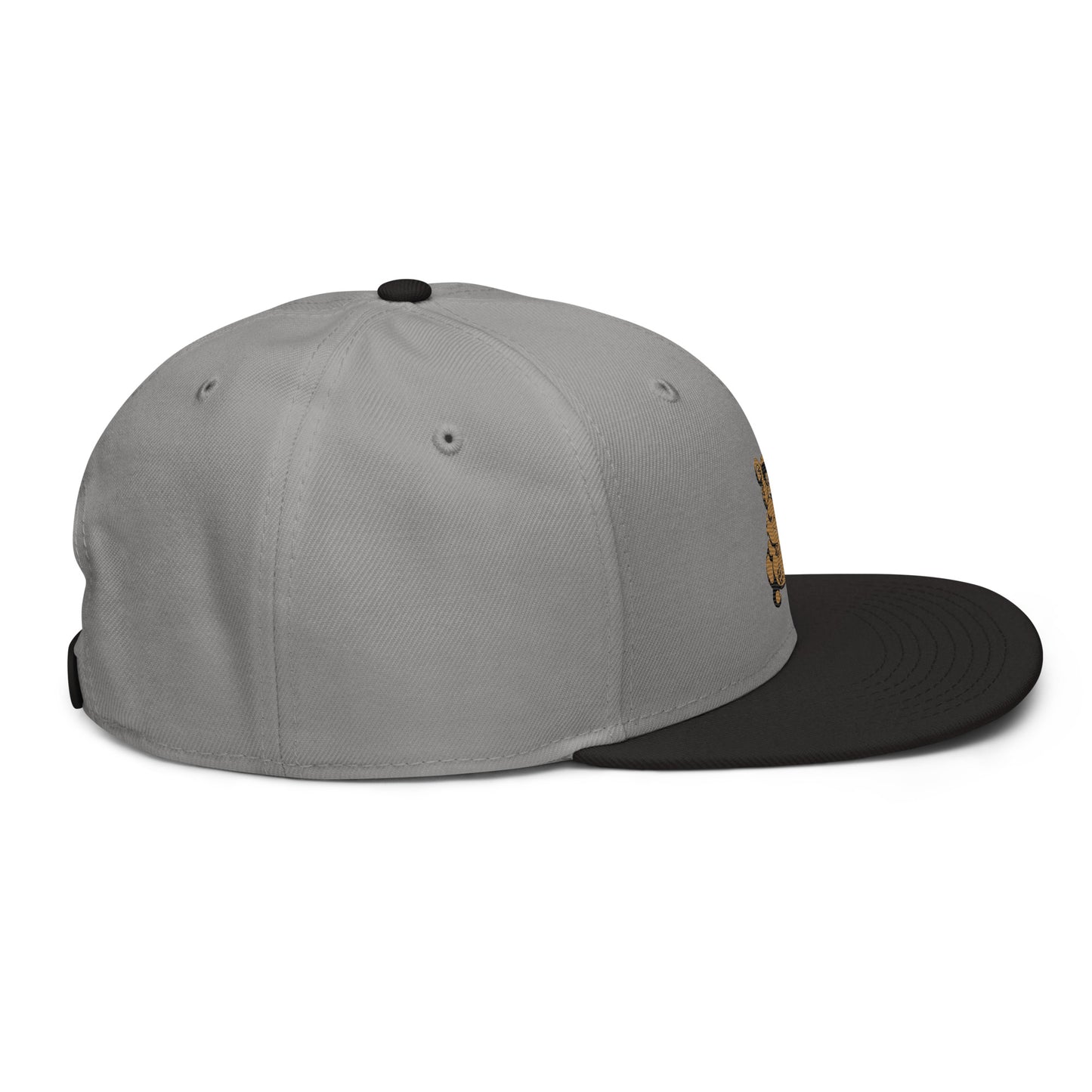 Teddy Snapback Hat