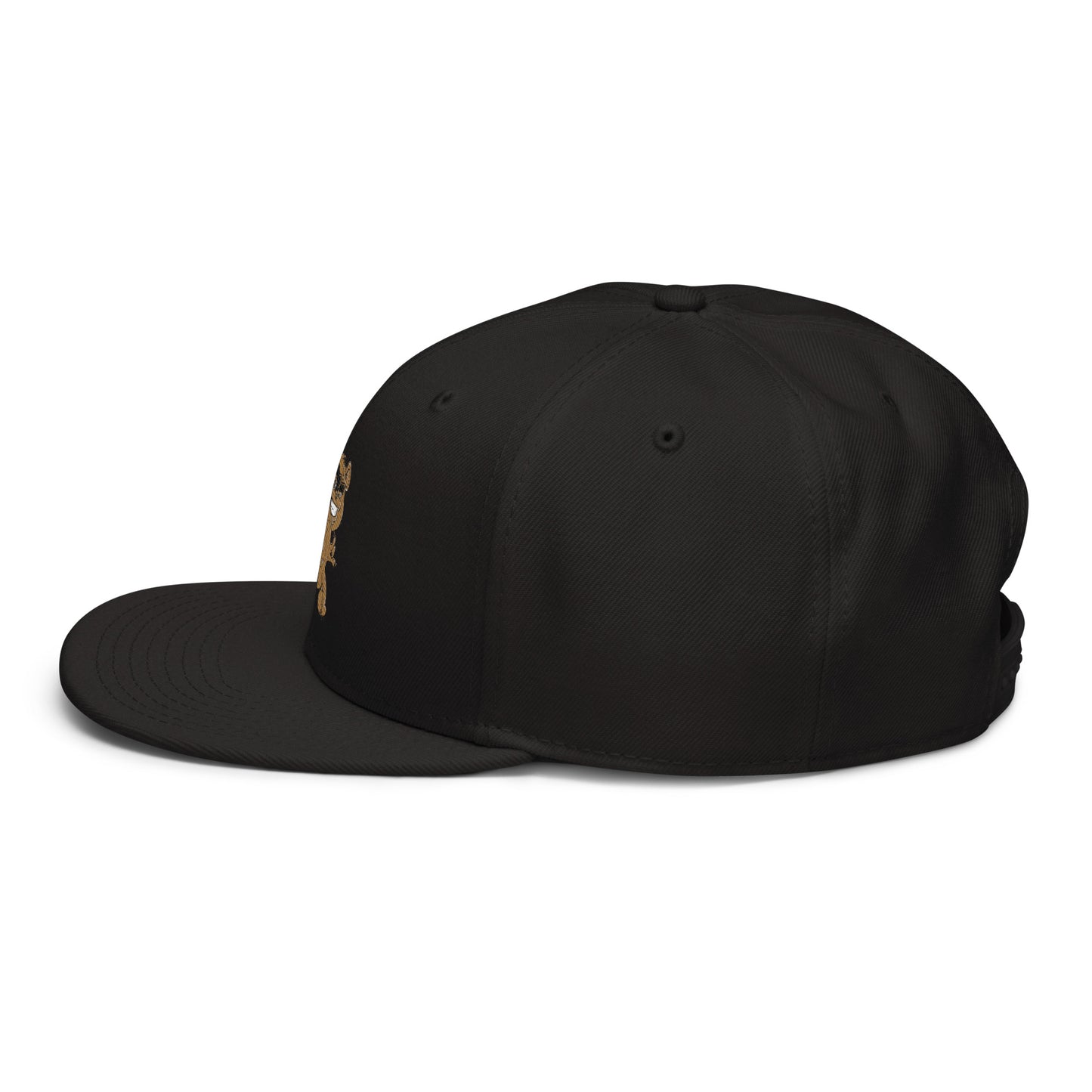 Teddy Snapback Hat
