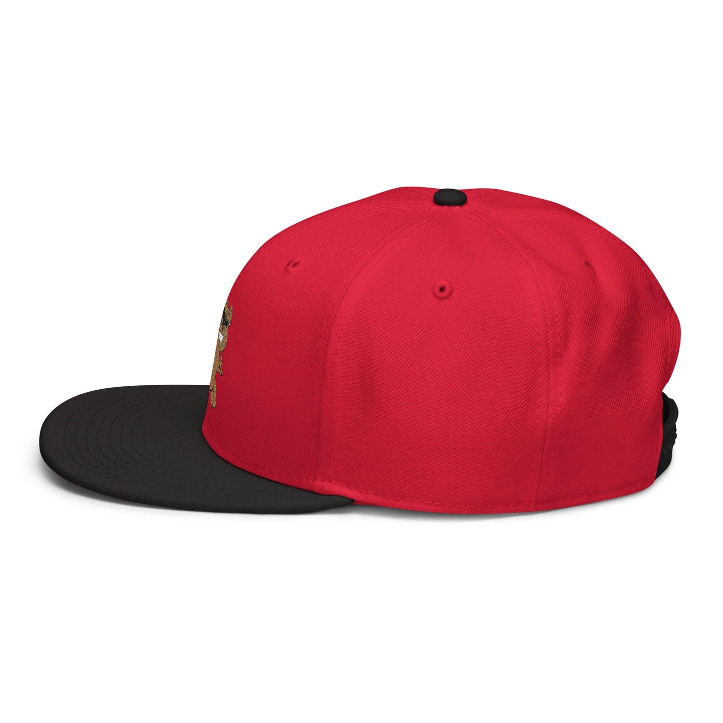 Teddy Snapback Hat
