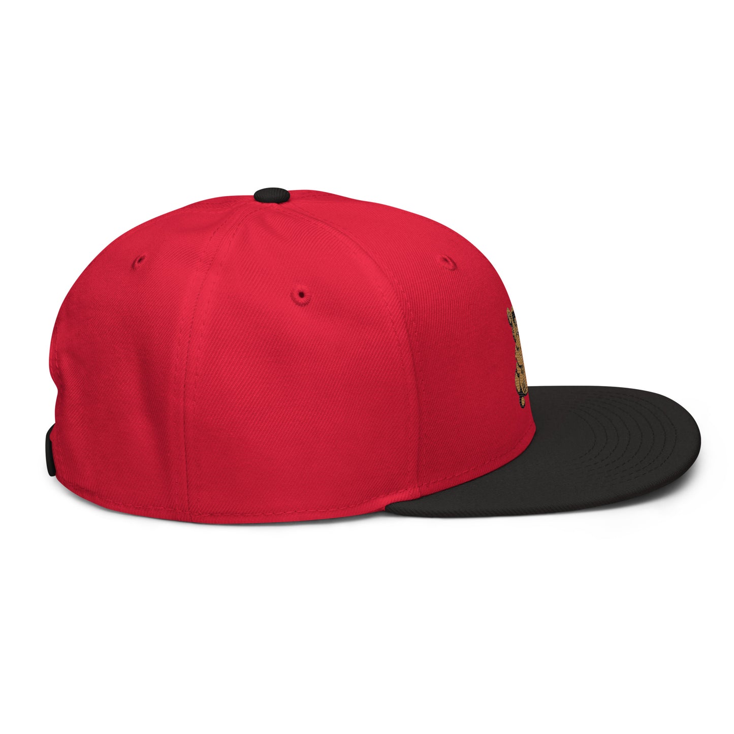 Teddy Snapback Hat
