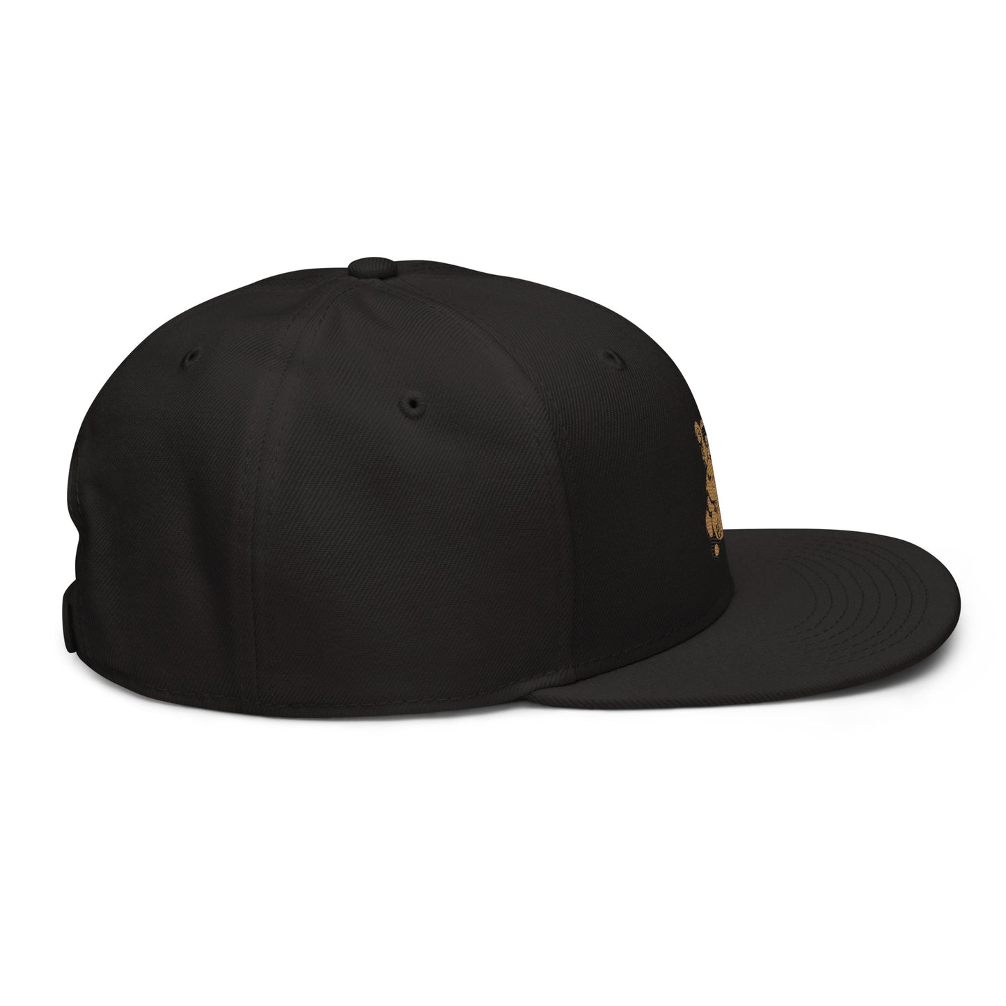 Teddy Snapback Hat