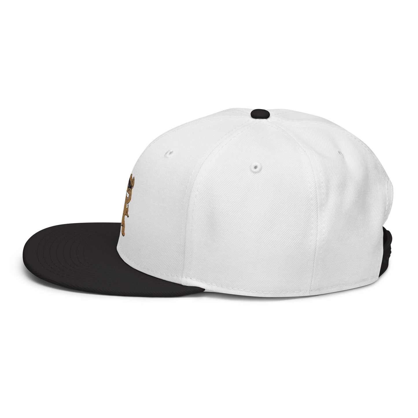 Teddy Snapback Hat