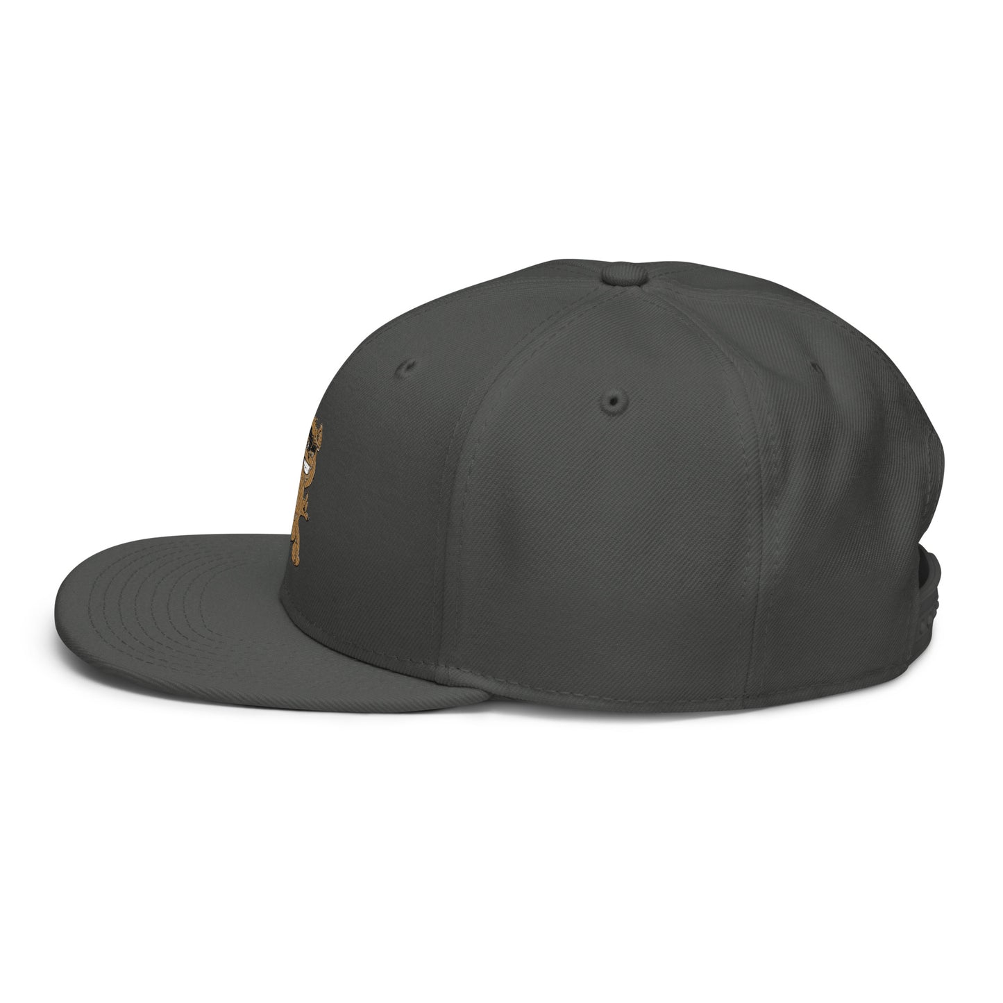 Teddy Snapback Hat