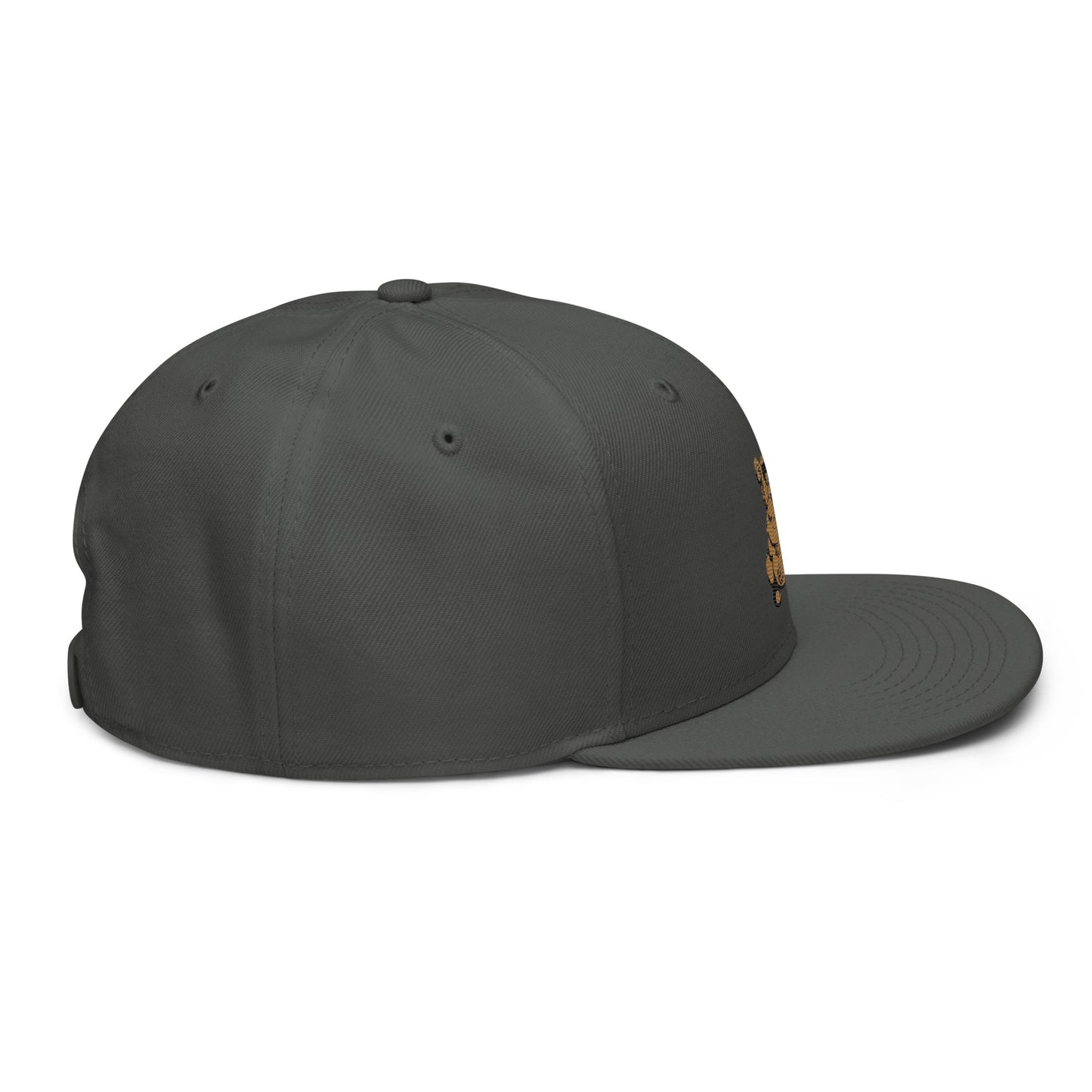 Teddy Snapback Hat