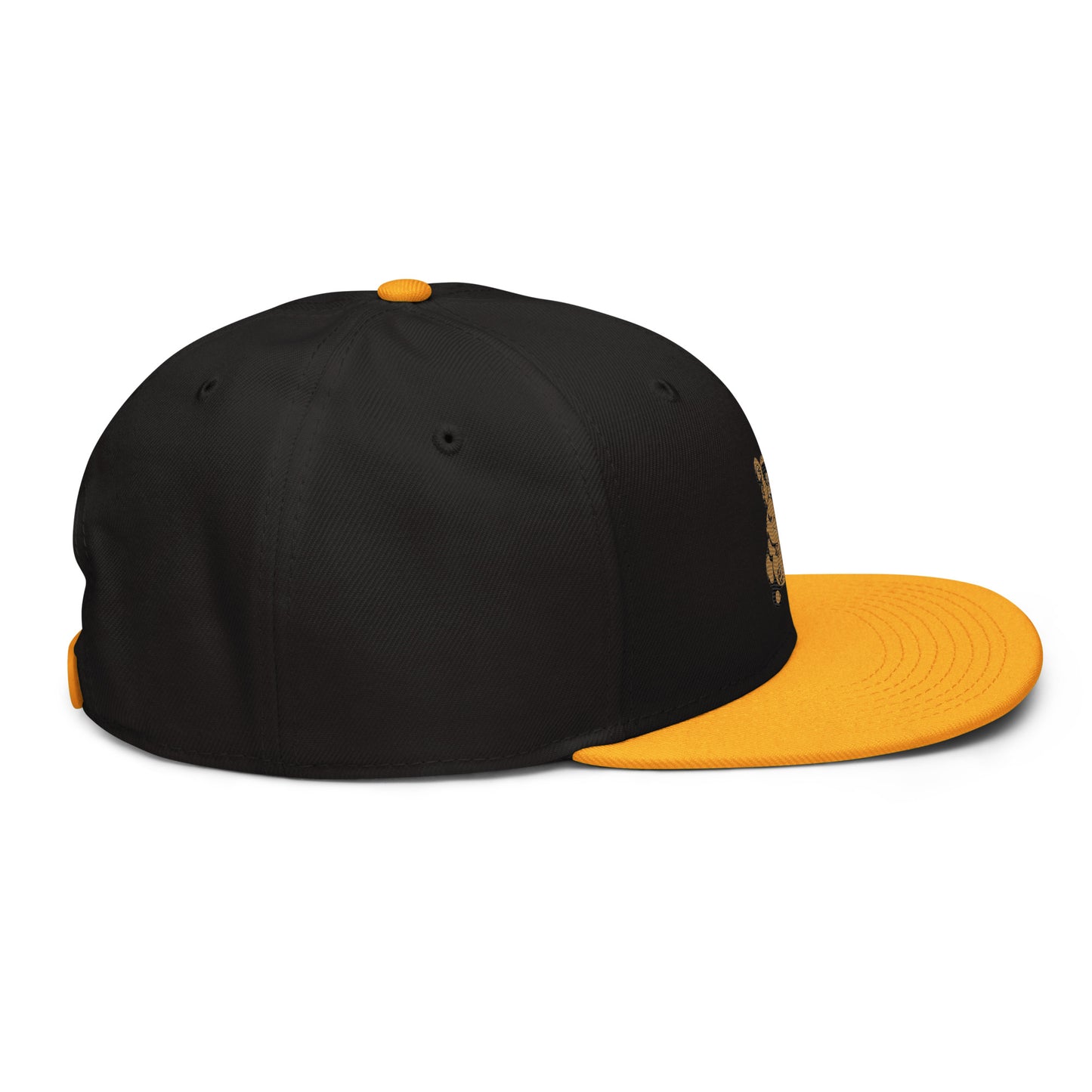 Teddy Snapback Hat