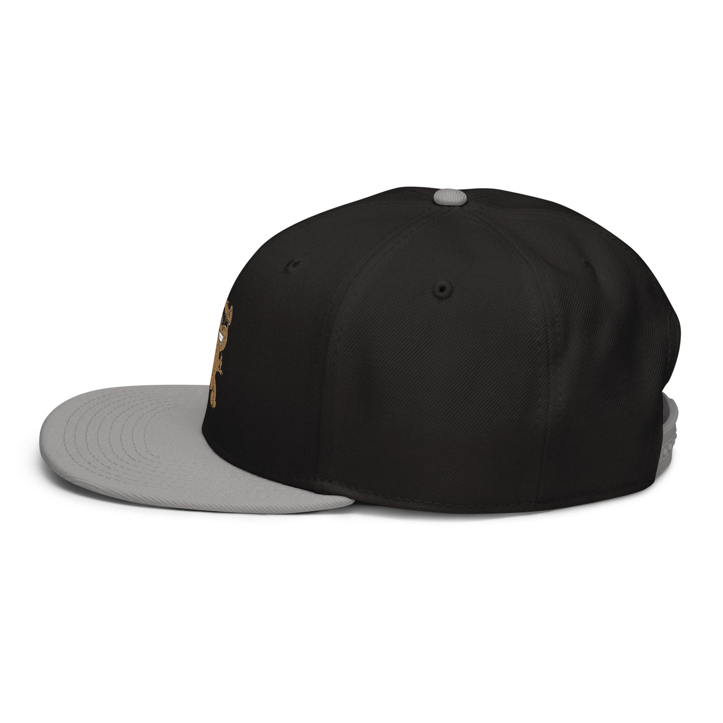 Teddy Snapback Hat