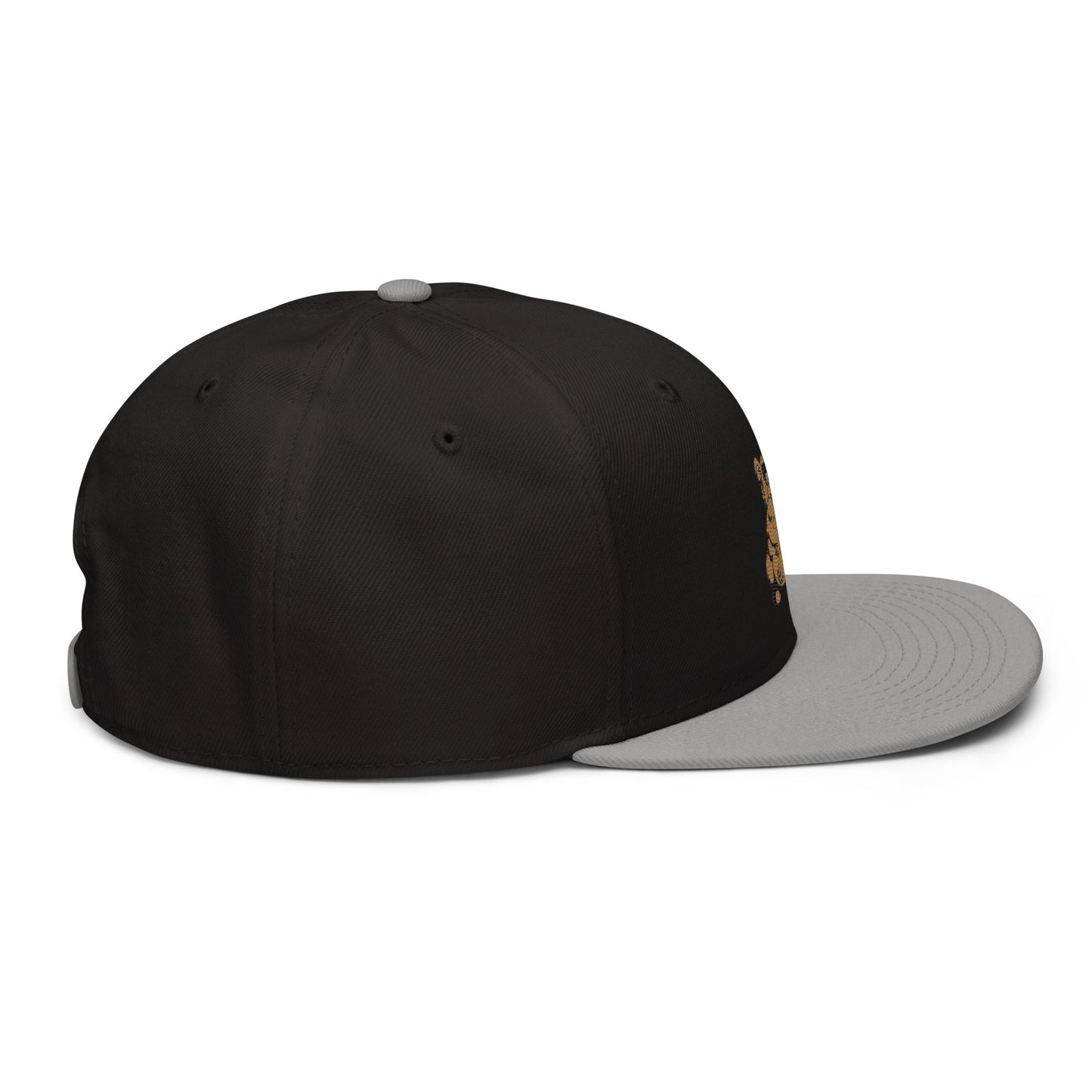 Teddy Snapback Hat
