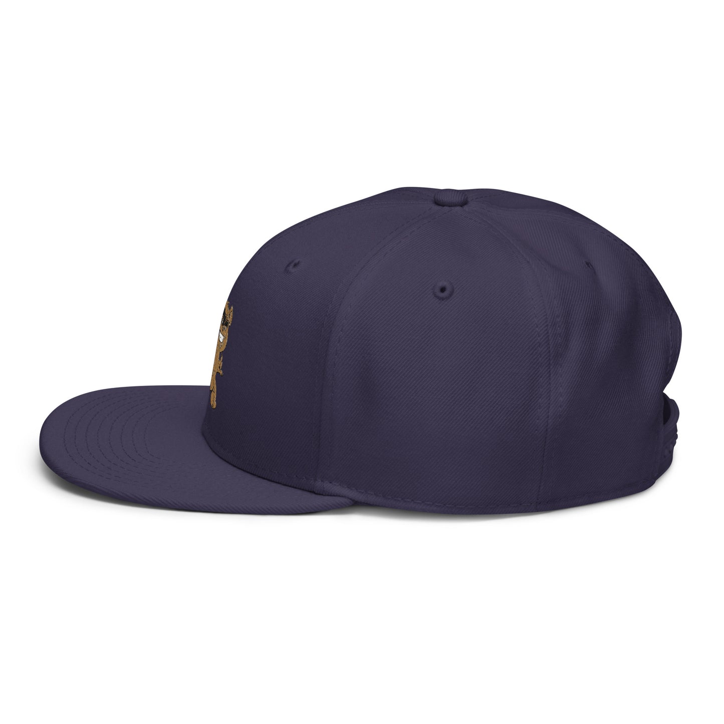 Teddy Snapback Hat