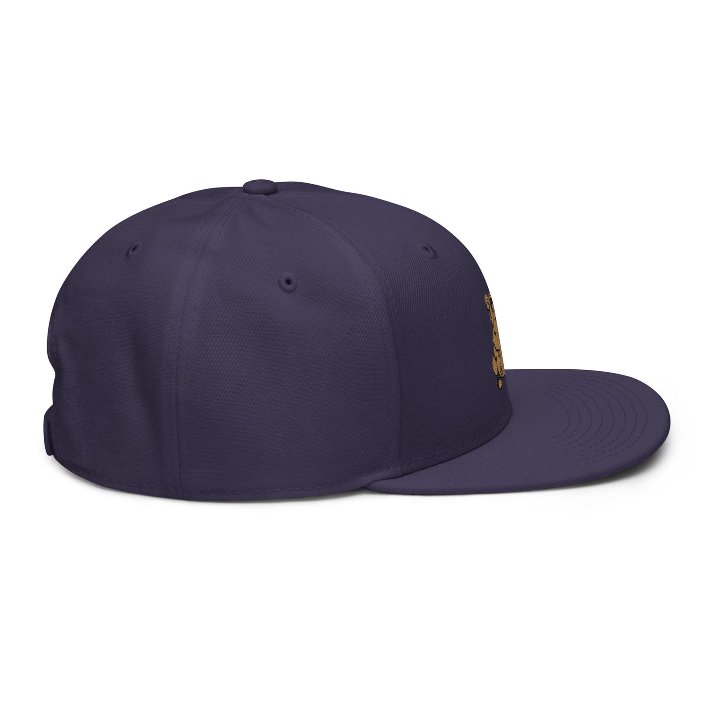 Teddy Snapback Hat