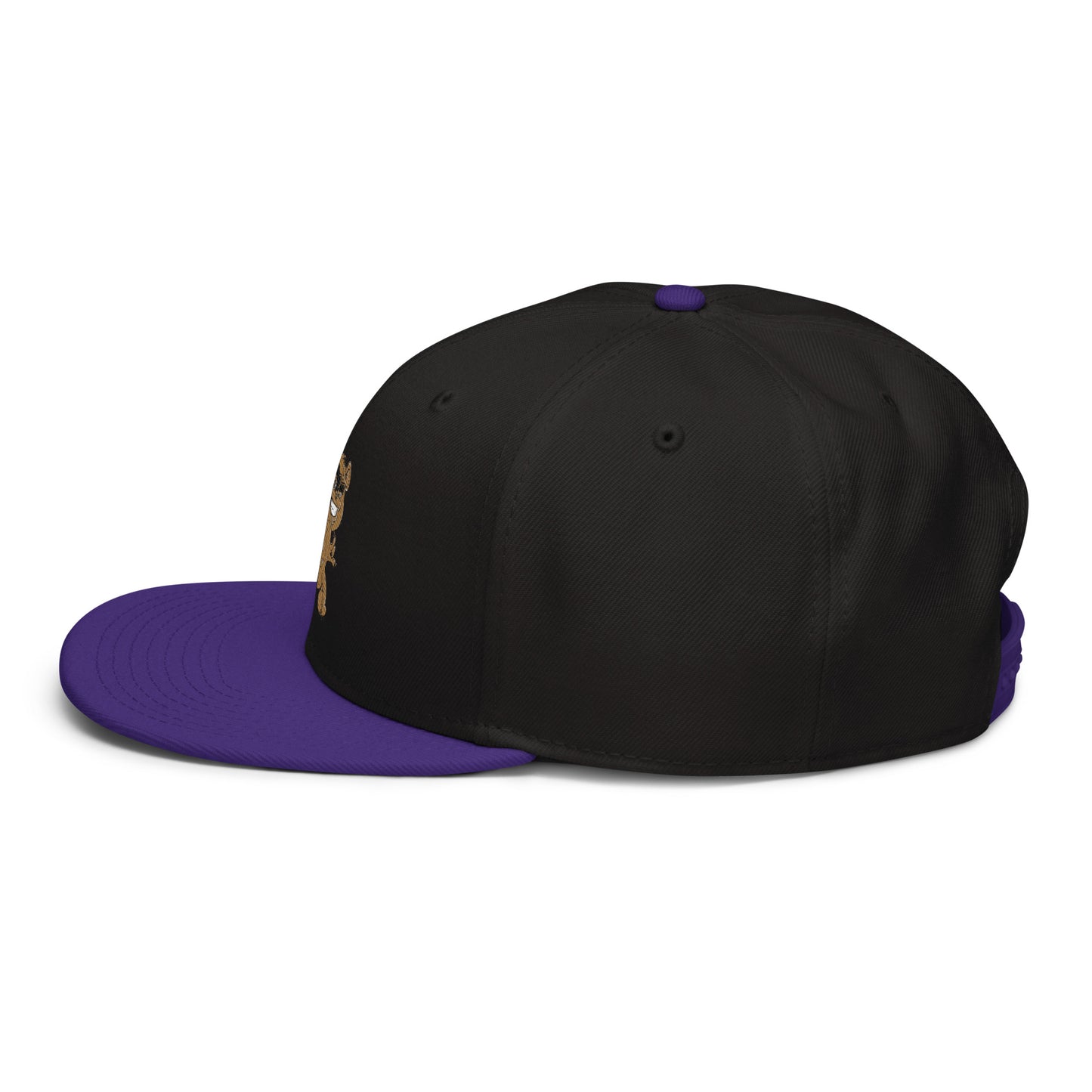 Teddy Snapback Hat
