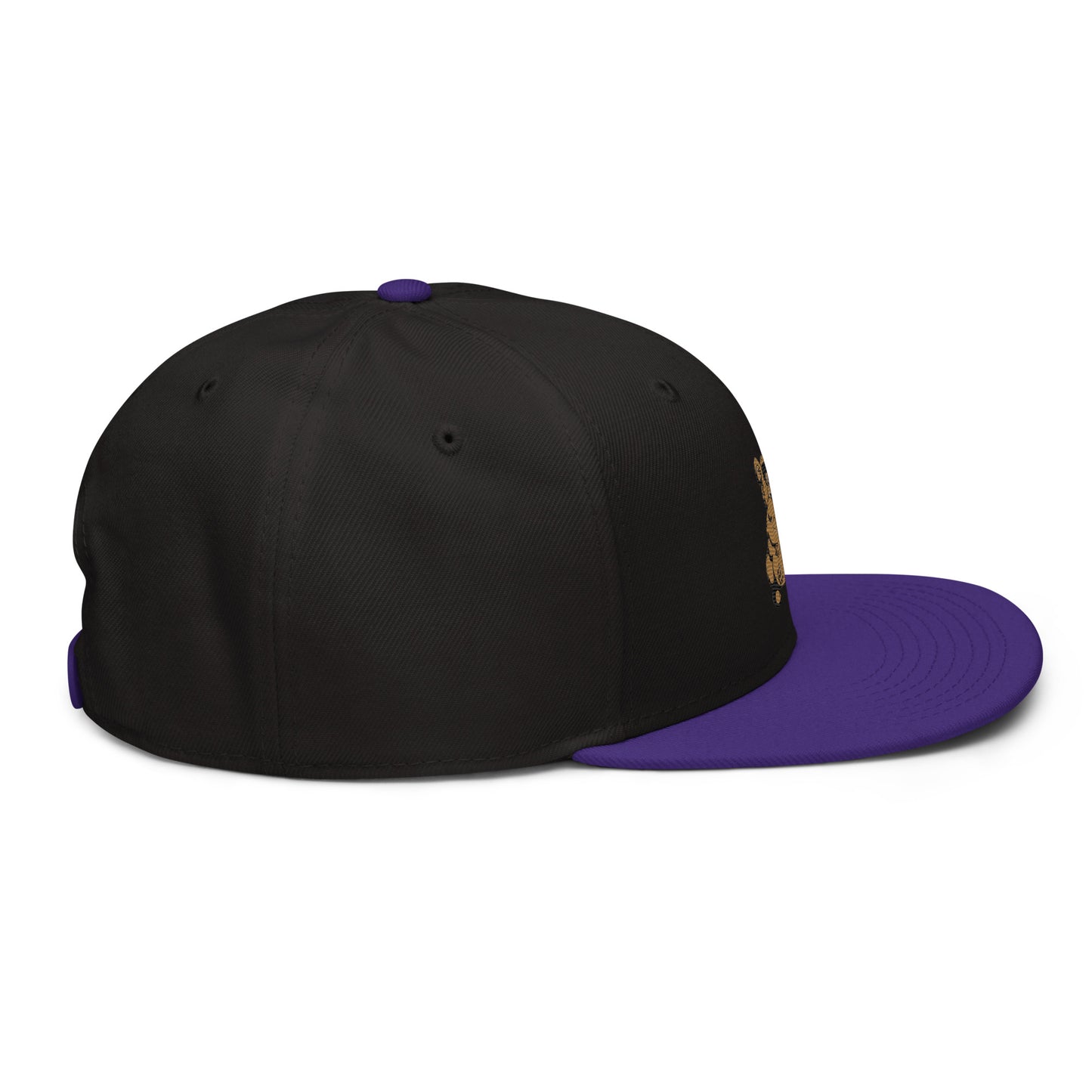 Teddy Snapback Hat