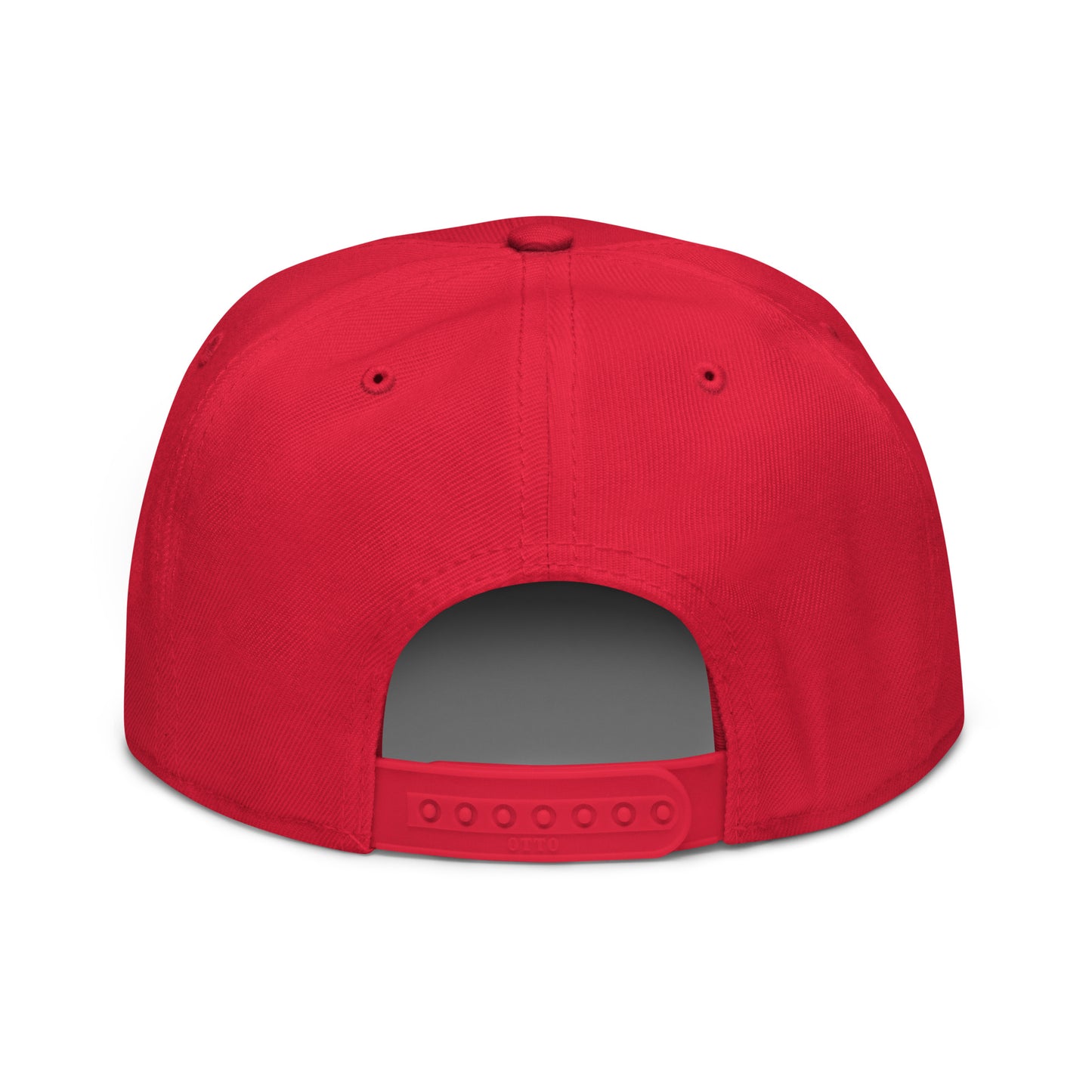 Teddy Snapback Hat