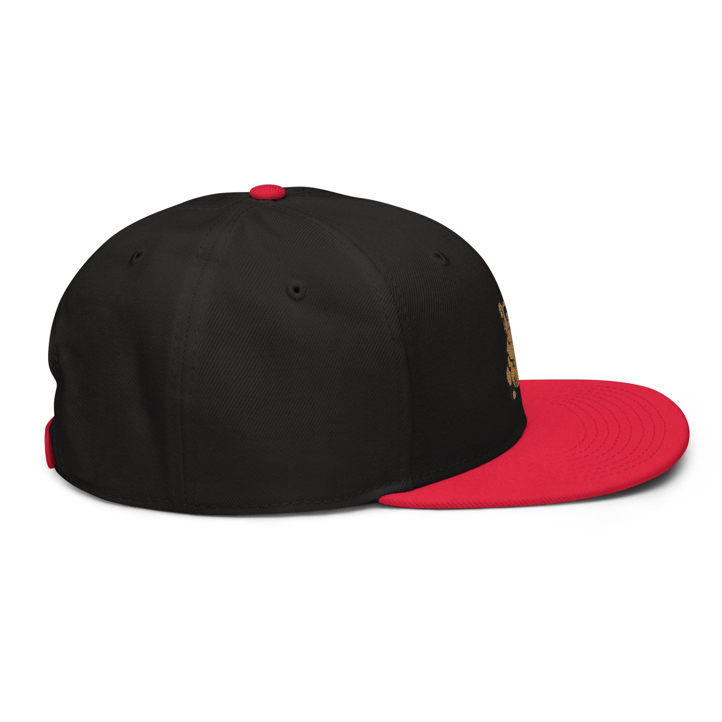 Teddy Snapback Hat