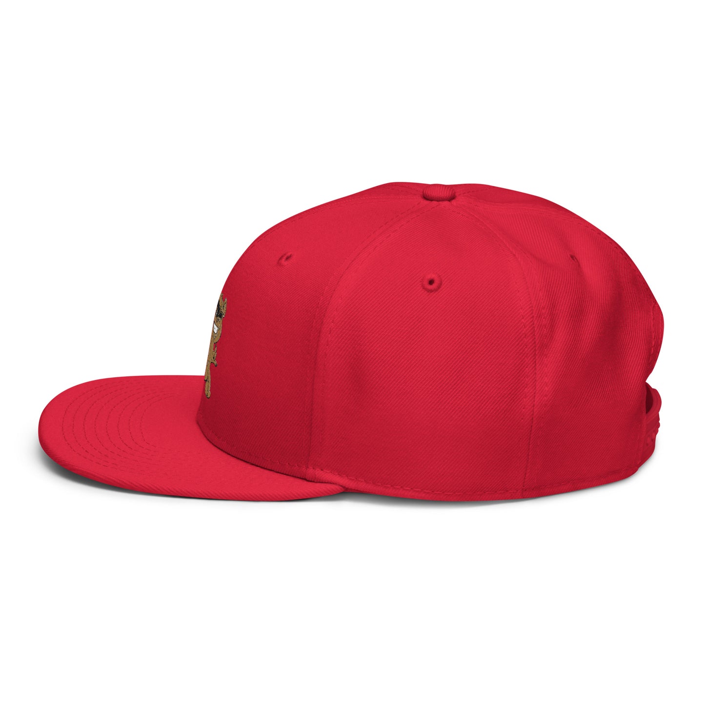 Teddy Snapback Hat