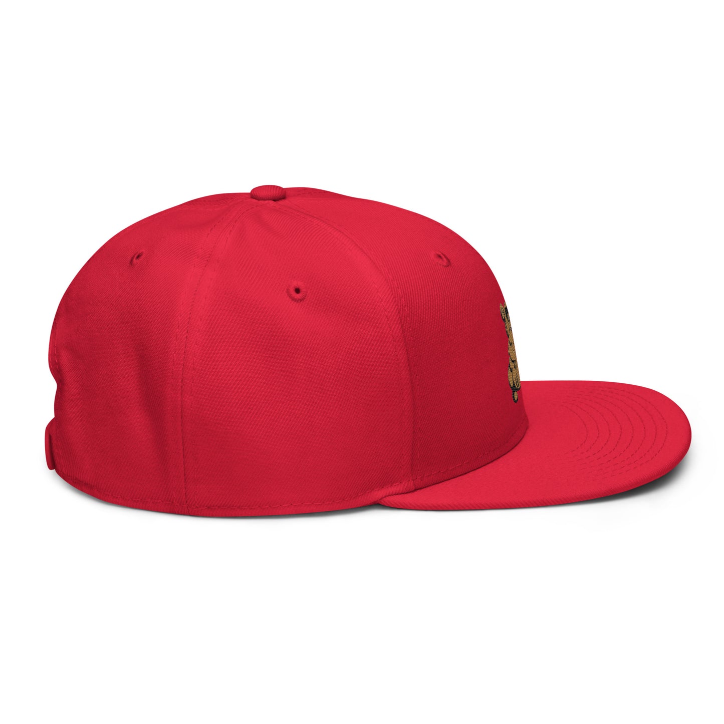Teddy Snapback Hat